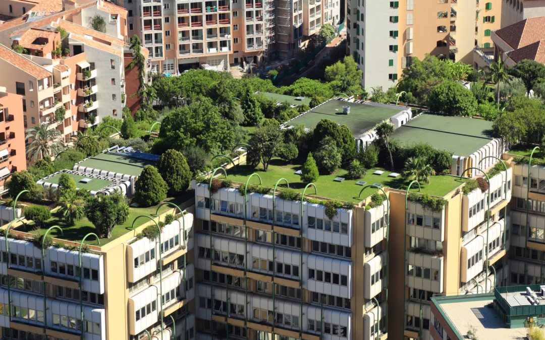 The Gardens